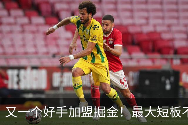 又一个好手加盟掘金！最大短板不复存在，硬刚马刺雷霆有戏了